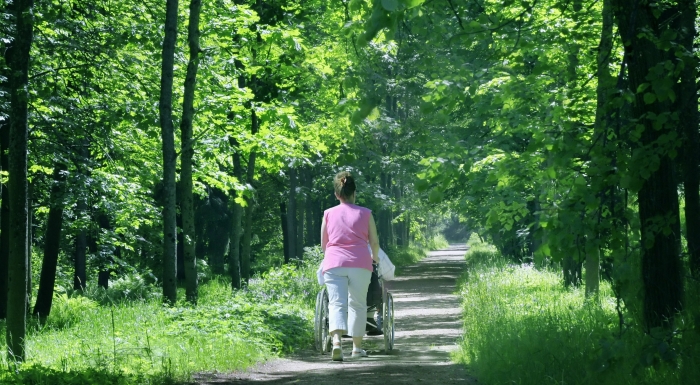 Person pushing someone in a wheelchair along a forest path.