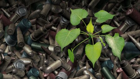 After war concept as a background of rustic bullets and amunition from weapons with a green sapling tree sprouting out from the metal as a surreal global peace issue metaphor for hope and reconciliation after a bloody conflict.
