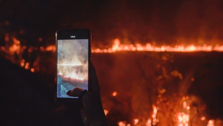 Forest fire being photographed on phone