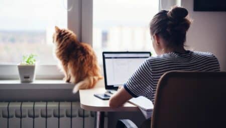 freelance and cat